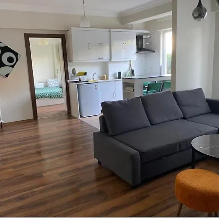 Dlk Deluxe 70 M2 Stylish Pool-parking Apartament Istanbul